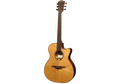 LAG - GLA T118ACE - Cutaway Electro