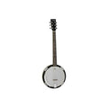 TANGLEWOOD - Banjo 6 cordes