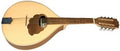 GEWA - MANDOLE PRO NATURA SILVER - Stock B