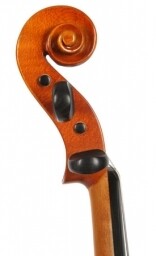 Violon Dvorak - 1/4 - Taille enfant