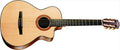 Taylor - NS42CE Guitare Electro Nylon