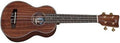TENNESSEE - Asian Koa