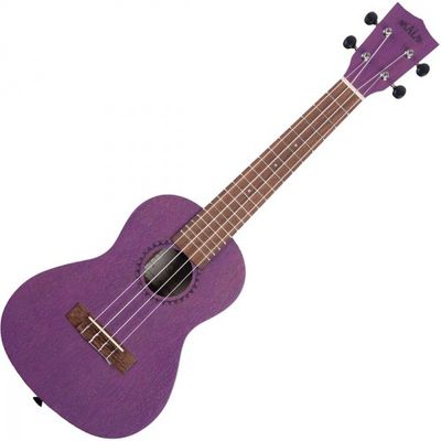 KALA - Concert - Méranti Purple