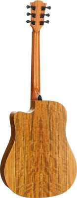 LAG Hyvibe 20 - Dreadnought Cutaway -