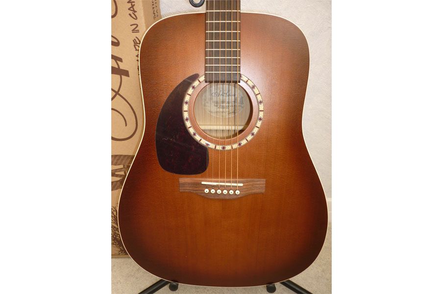 ART ET LUTHERIE - Dreadnought Cedar - Gaucher