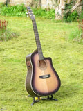 SEAGULL 1996 - Blackburst S6 CW Serie