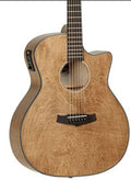 TANGLEWOOD Evolution - TVC x MP
